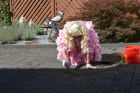 Bild 671307