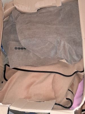 5_291549_d96ef5e965.jpg